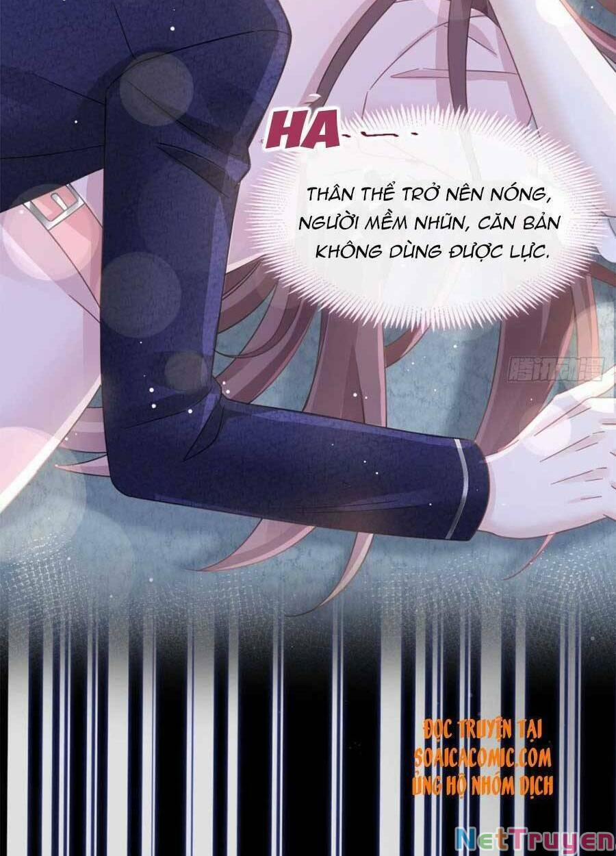 Trọng Sinh Trở Thành Món Tráng Miệng Của Tổng Tài Ma Cà Rồng 50 trang 6