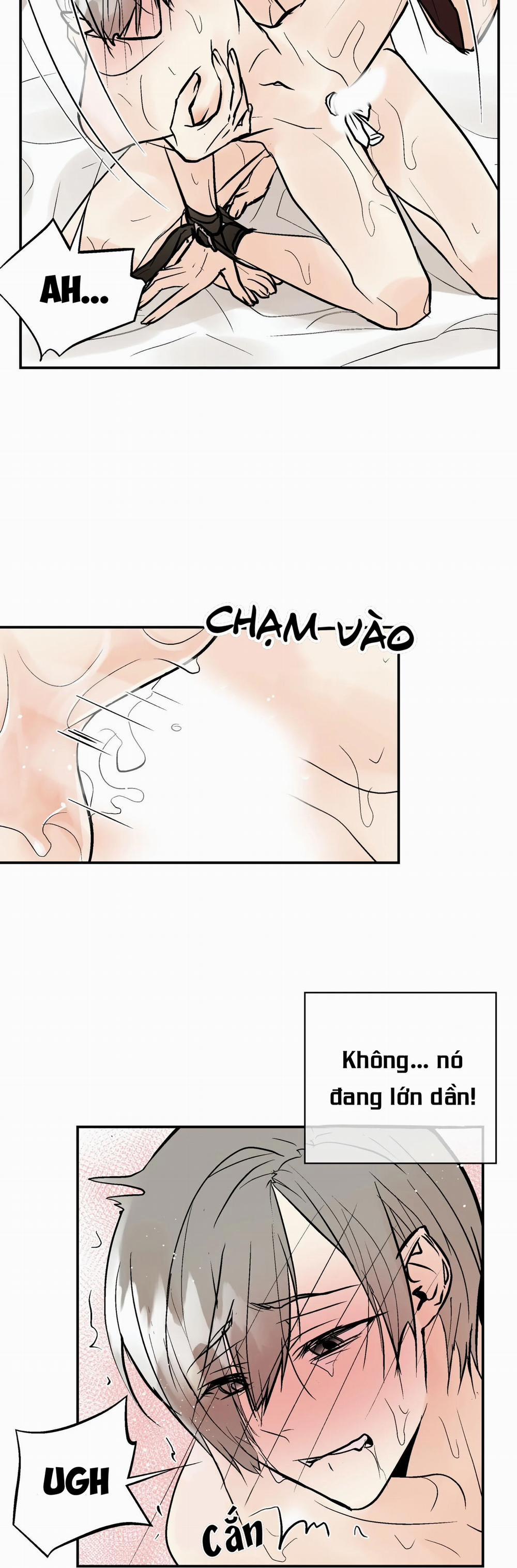 Trú Ẩn (Haven) 16 trang 14