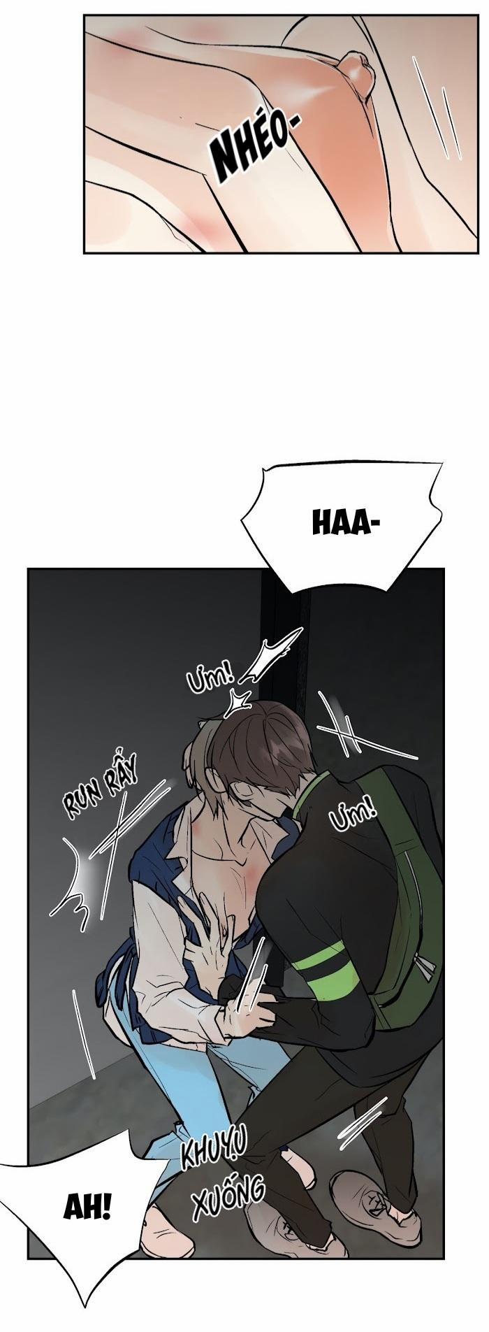 Trú Ẩn (Haven) 18 trang 11