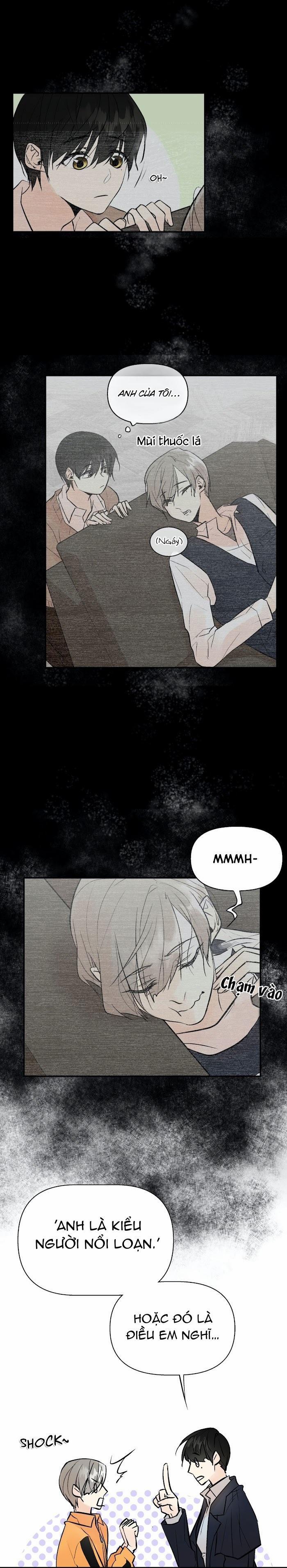 Trú Ẩn (Haven) 20.5 trang 1