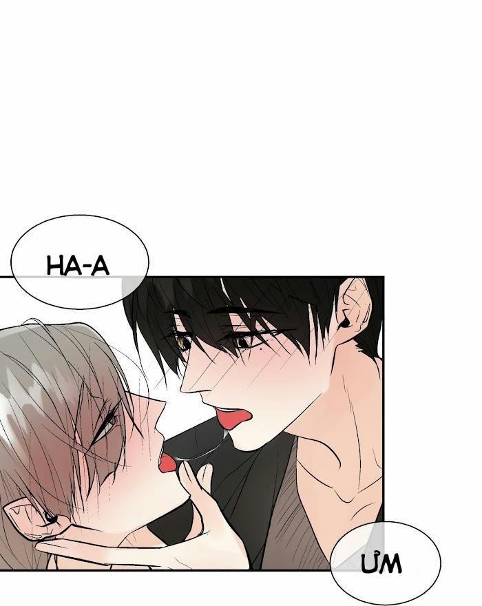 Trú Ẩn (Haven) 22.5 trang 8