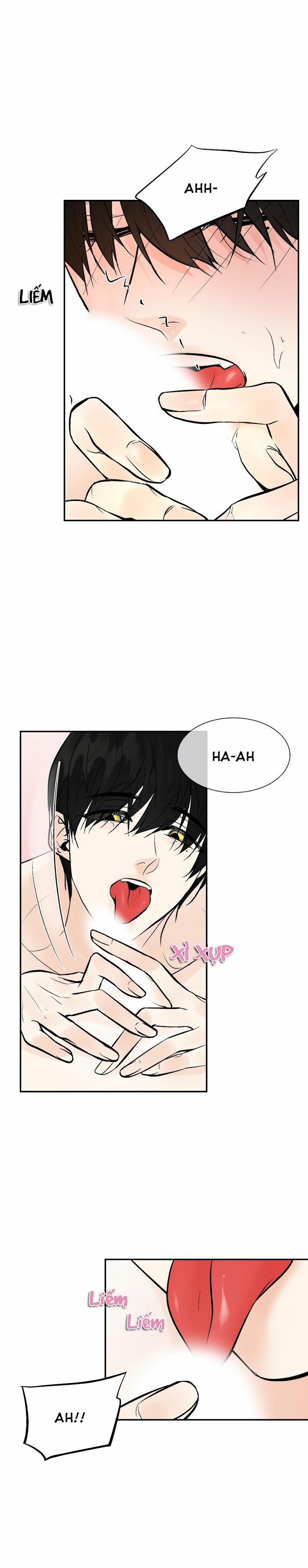 Trú Ẩn (Haven) 23 trang 2