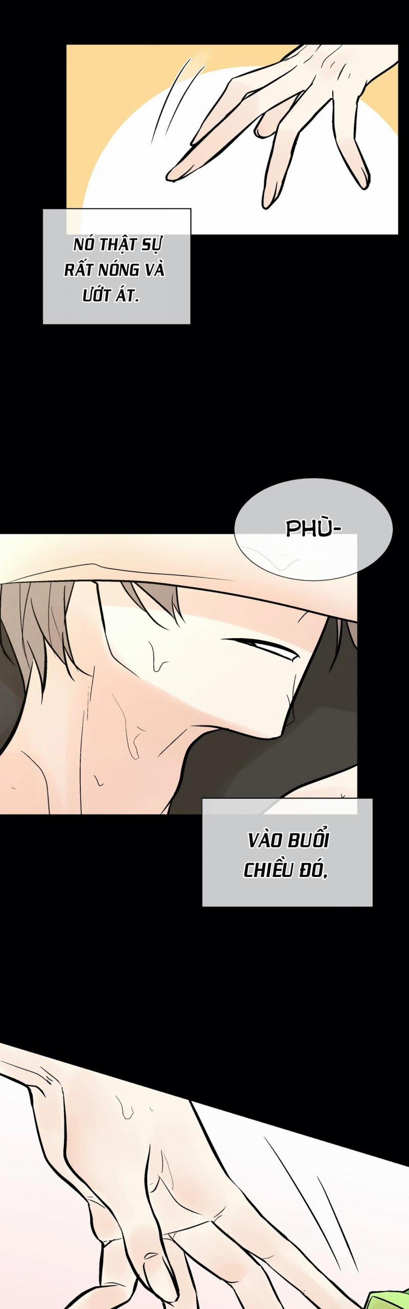 Trú Ẩn (Haven) 26.5 trang 0