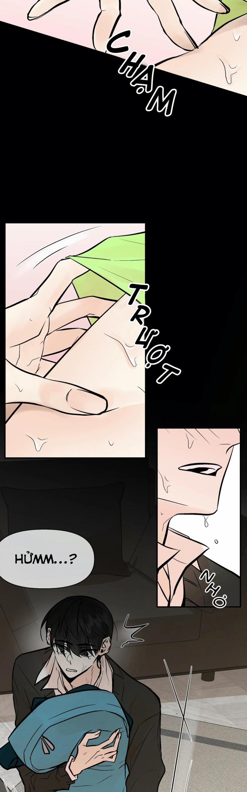 Trú Ẩn (Haven) 26.5 trang 1