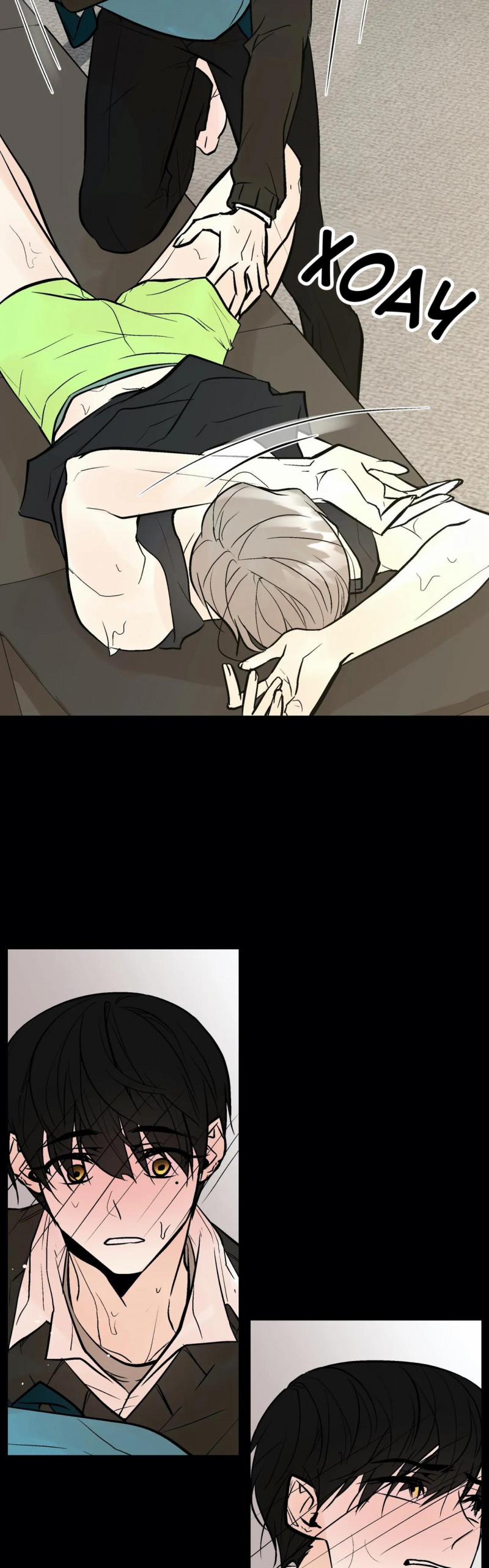 Trú Ẩn (Haven) 26.5 trang 2