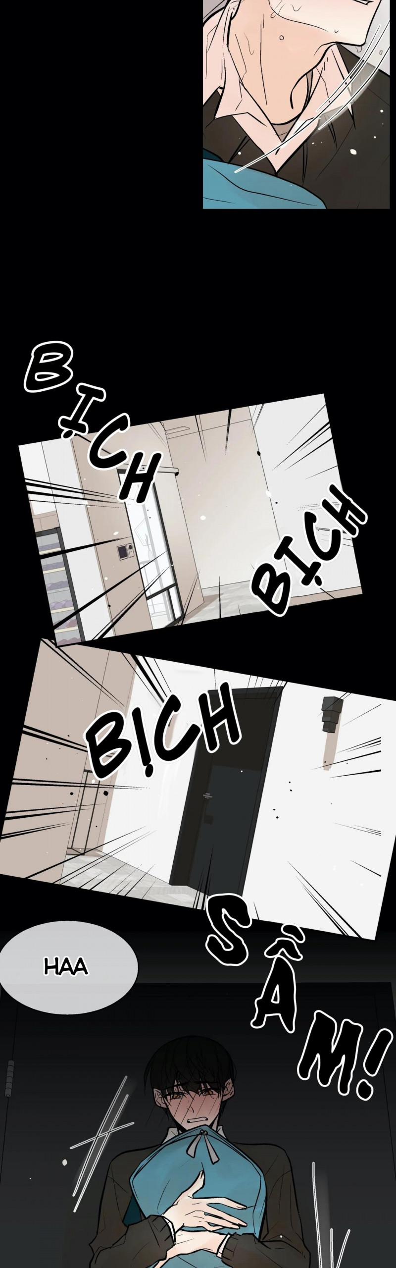 Trú Ẩn (Haven) 26.5 trang 3