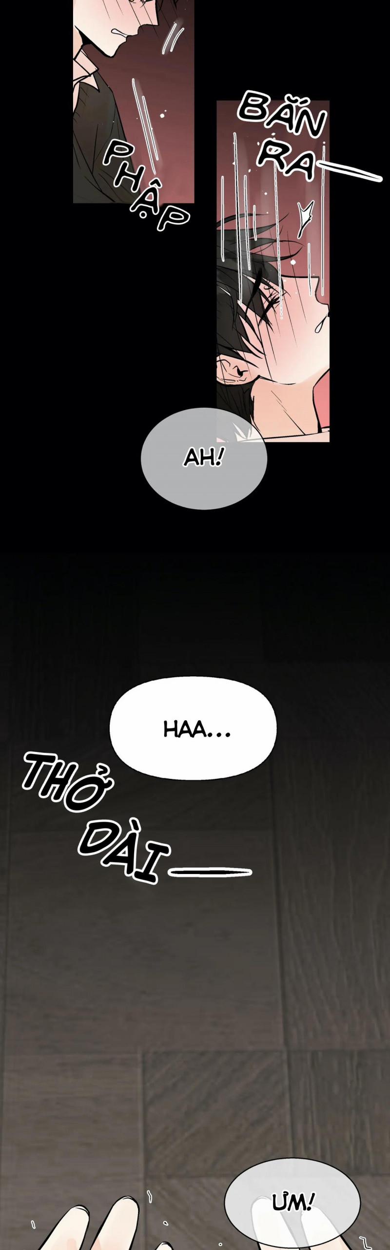 Trú Ẩn (Haven) 26.5 trang 5