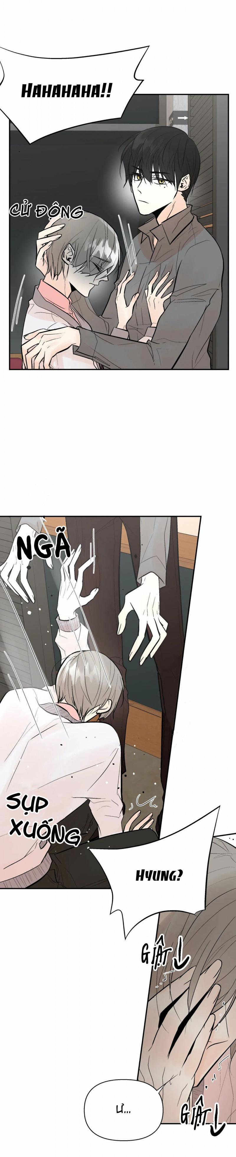 Trú Ẩn (Haven) 27.5 trang 0