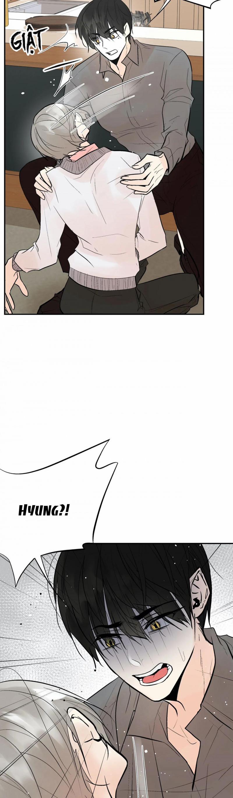 Trú Ẩn (Haven) 27.5 trang 10