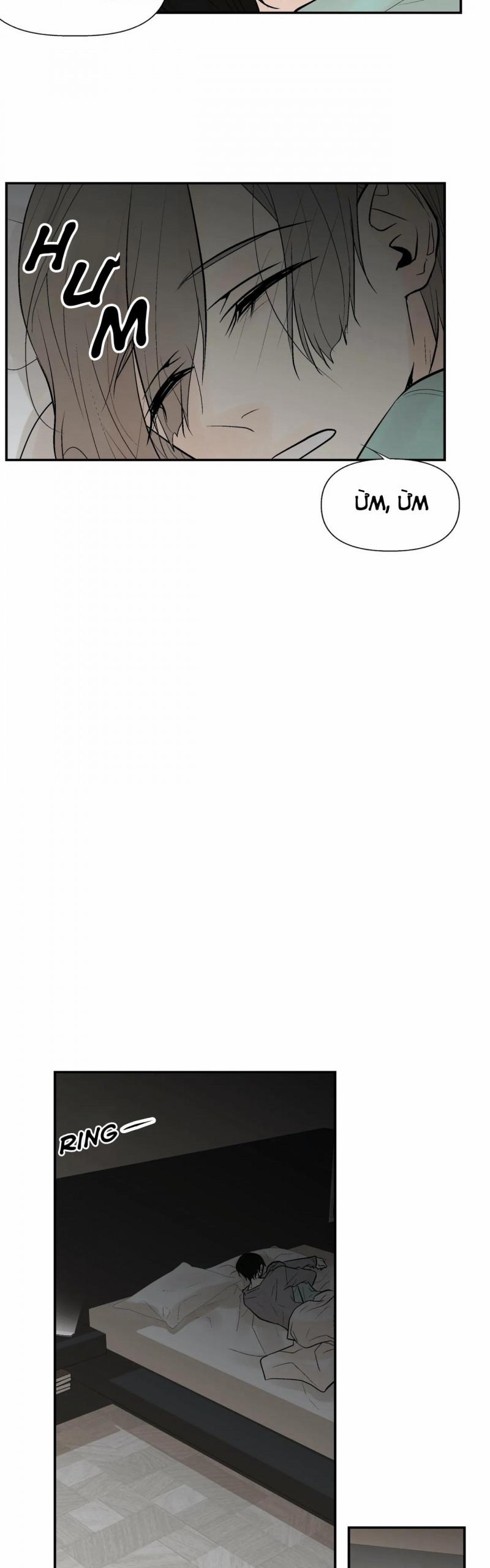 Trú Ẩn (Haven) 28.5 trang 1