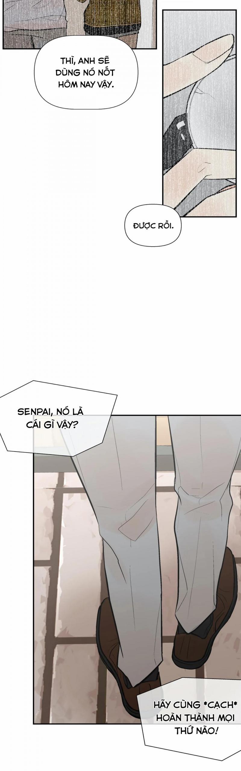 Trú Ẩn (Haven) 28.5 trang 12