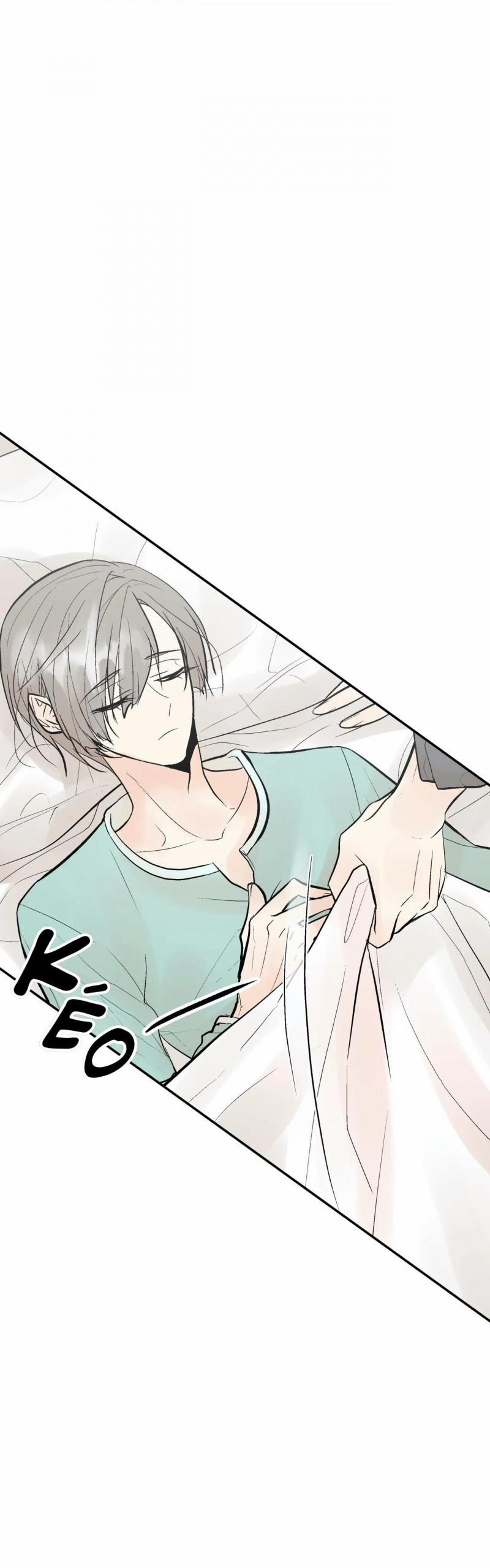 Trú Ẩn (Haven) 28 trang 0