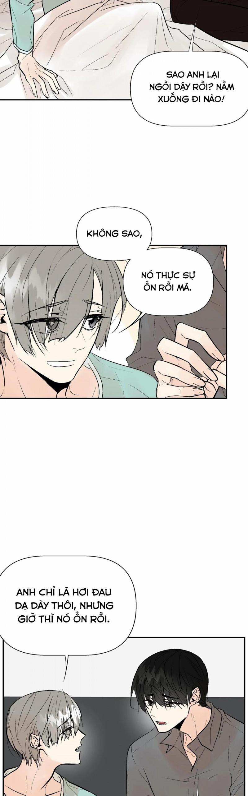 Trú Ẩn (Haven) 28 trang 3