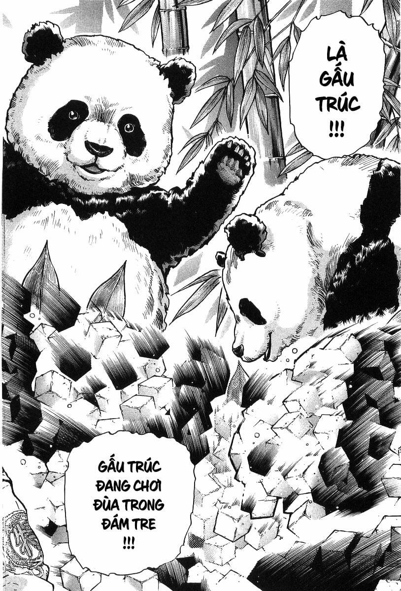 Trung Hoa Tiểu Đầu Bếp - Chuuka Ichiban 81 trang 6