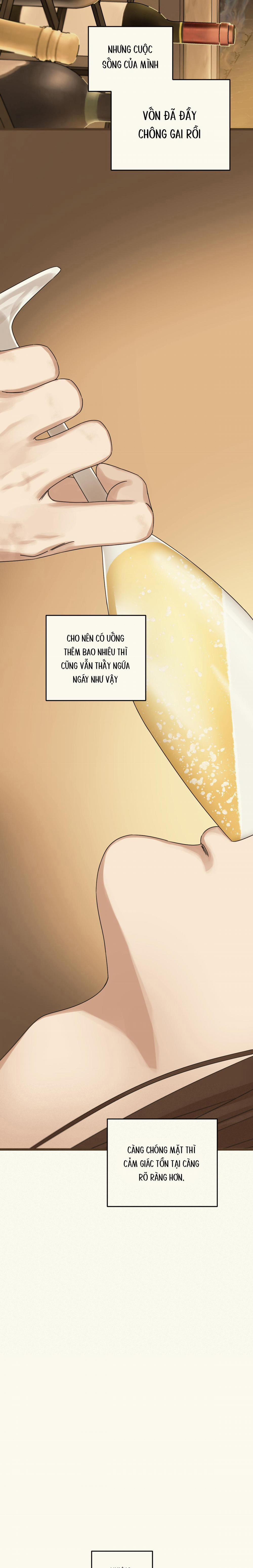 Trùng Phùng 30 trang 15