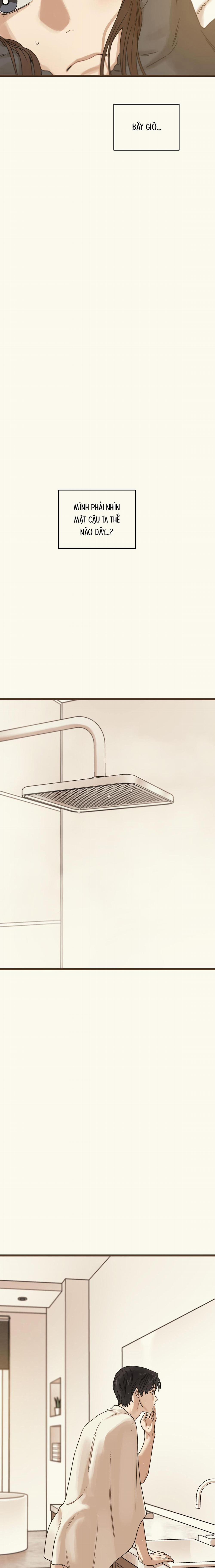 Trùng Phùng 31 trang 17