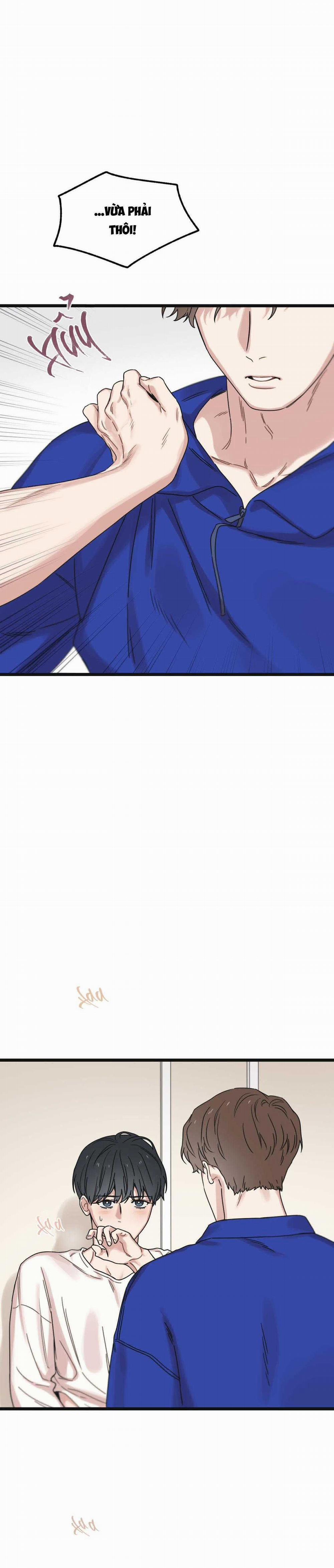 Trùng Phùng 32 trang 6