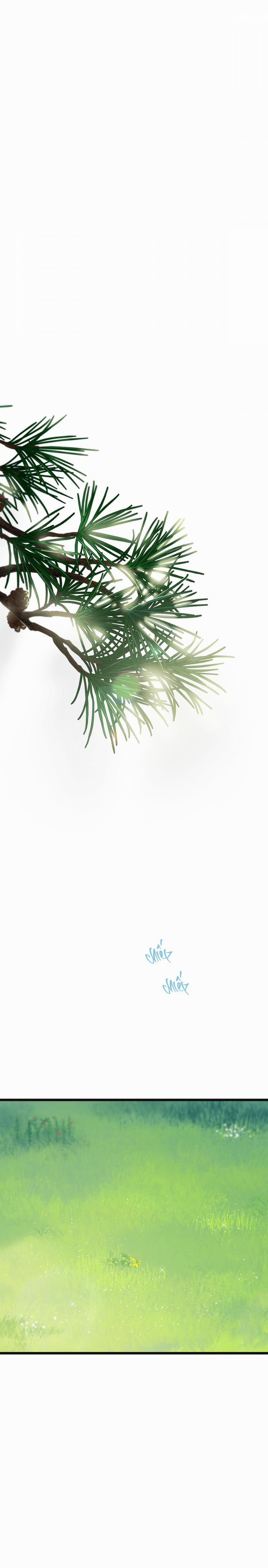 Trùng Phùng 33 trang 0