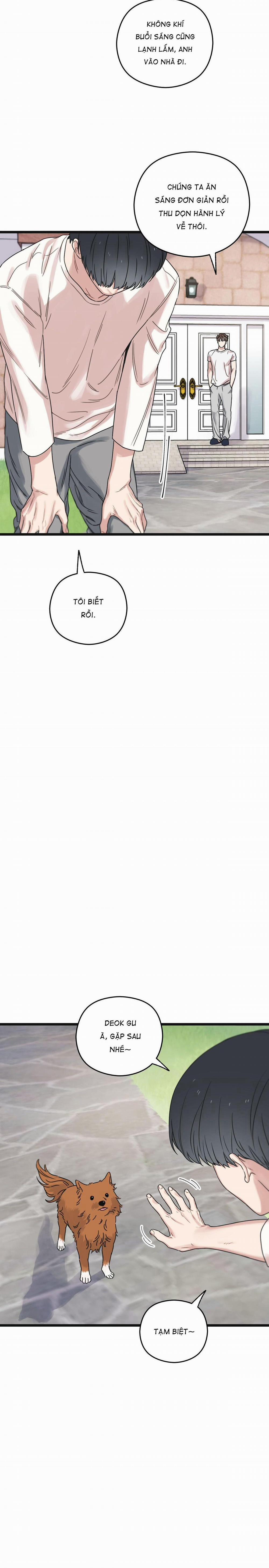 Trùng Phùng 33 trang 11