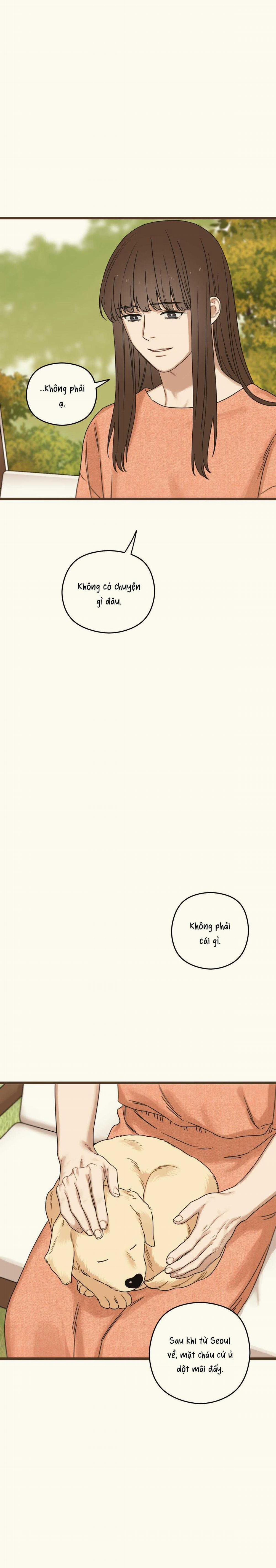 Trùng Phùng 37 trang 12