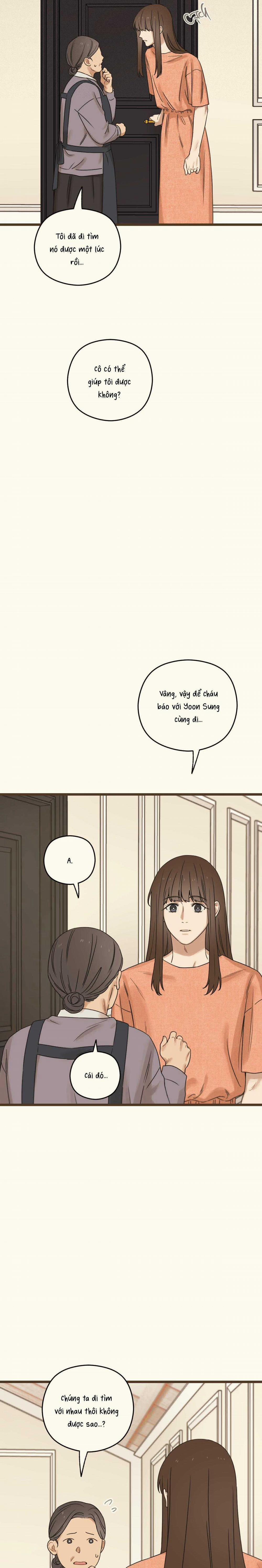 Trùng Phùng 37 trang 19