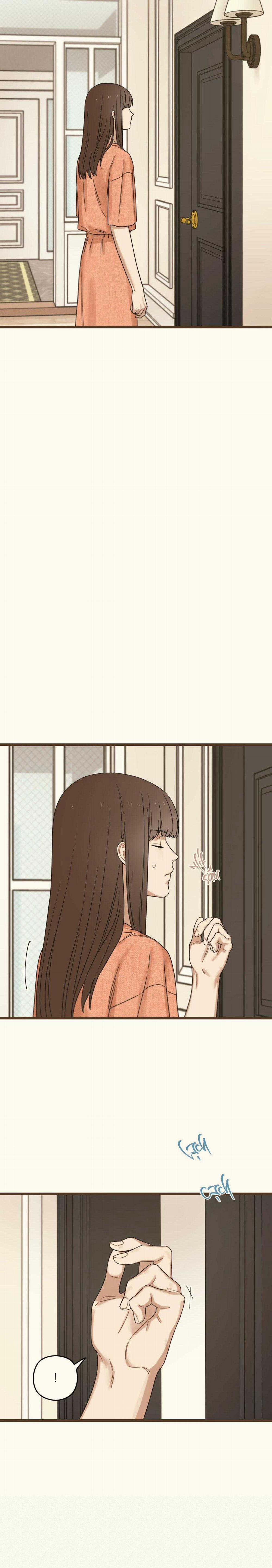 Trùng Phùng 37 trang 21