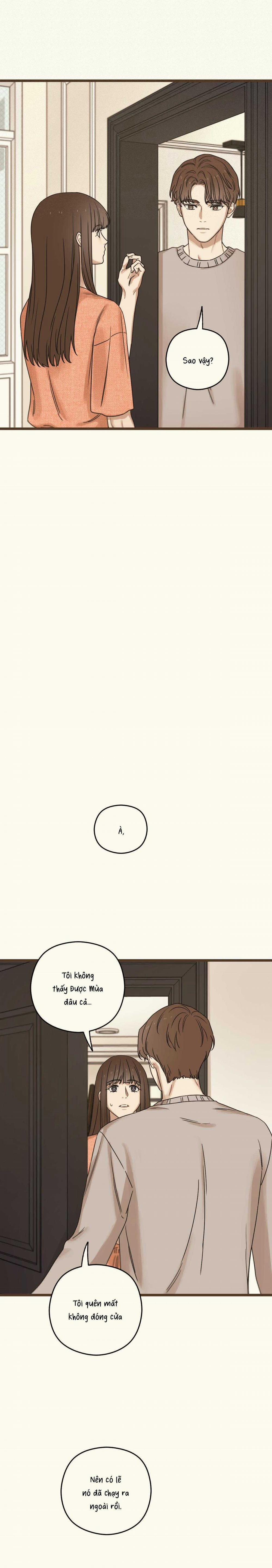 Trùng Phùng 37 trang 22