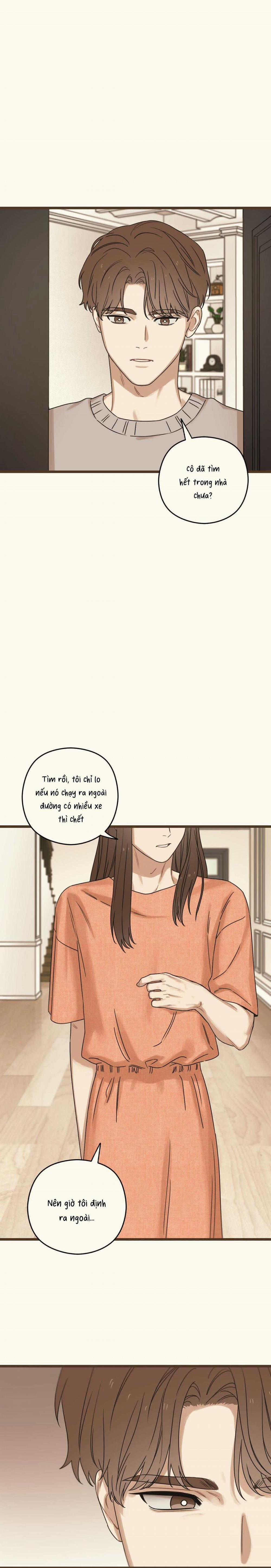 Trùng Phùng 37 trang 23