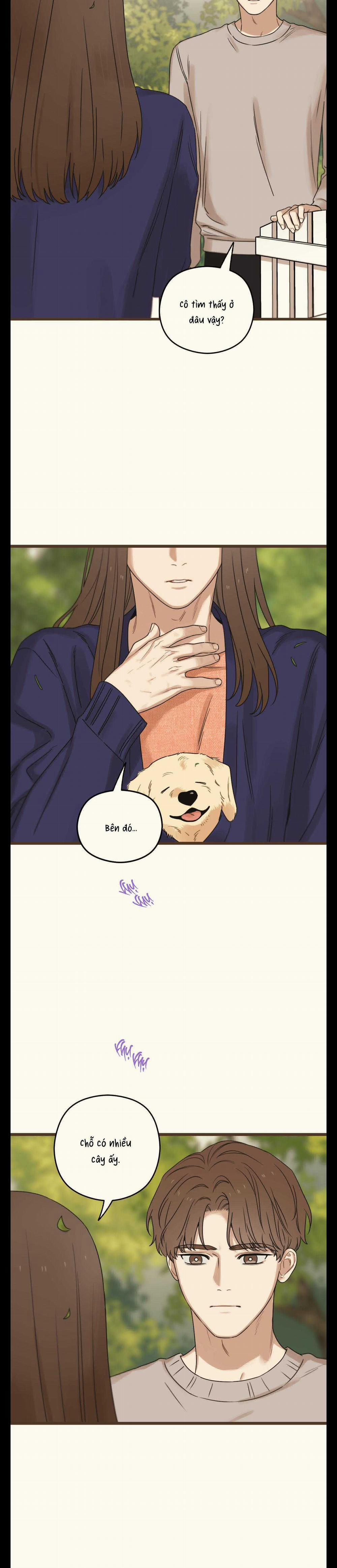 Trùng Phùng 37 trang 30