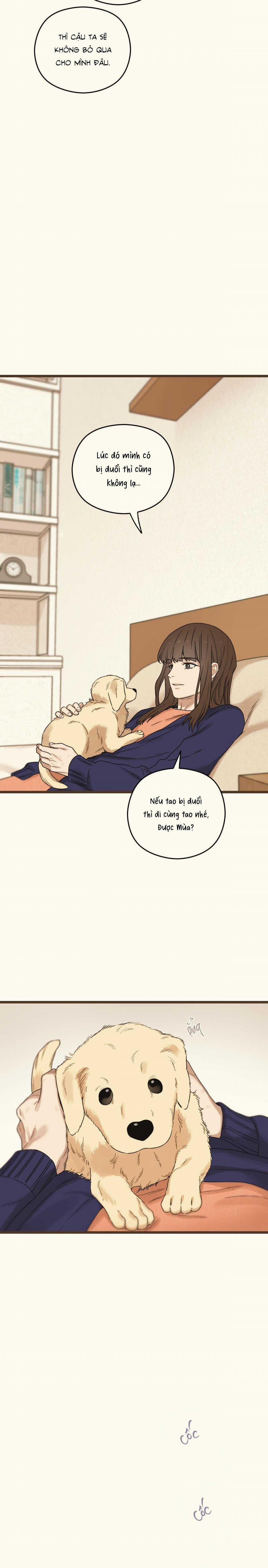 Trùng Phùng 38 trang 1