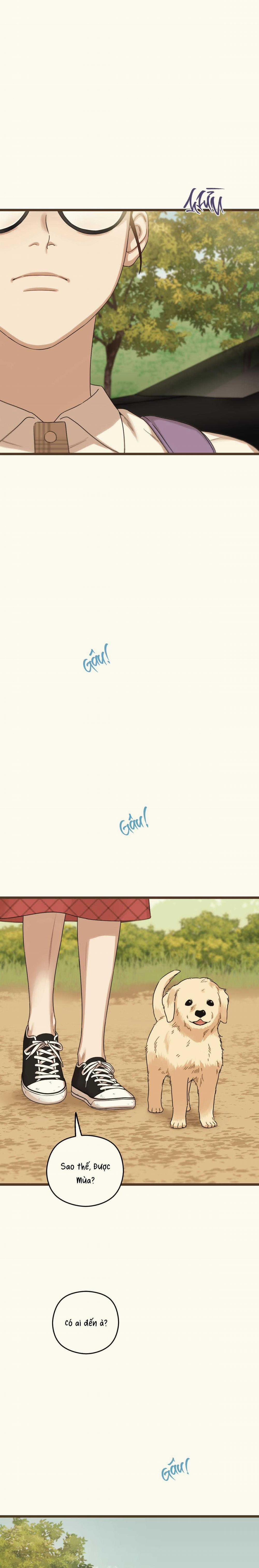 Trùng Phùng 38 trang 10