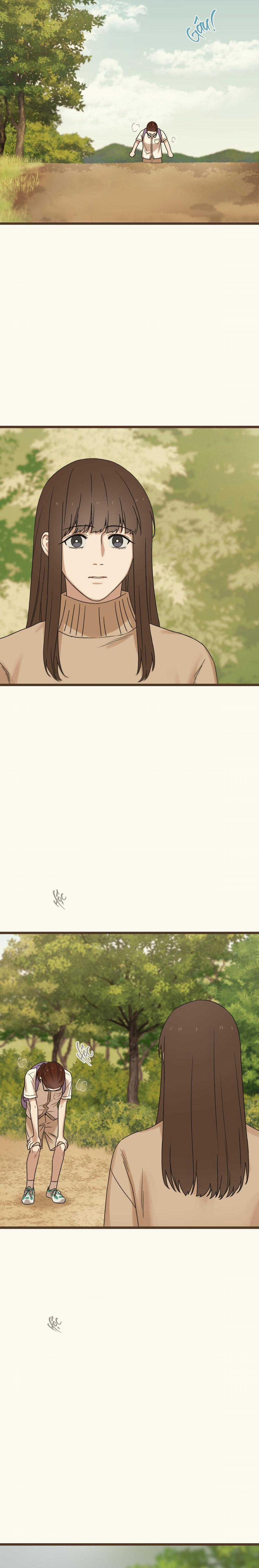 Trùng Phùng 38 trang 11