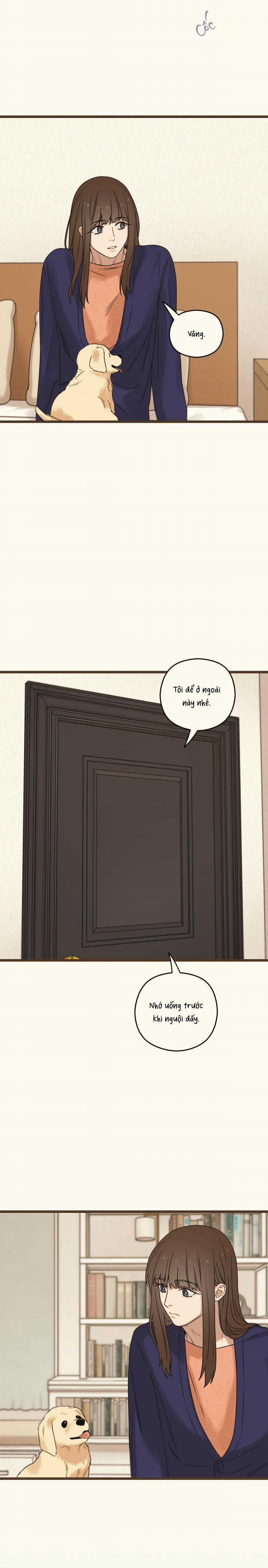 Trùng Phùng 38 trang 2