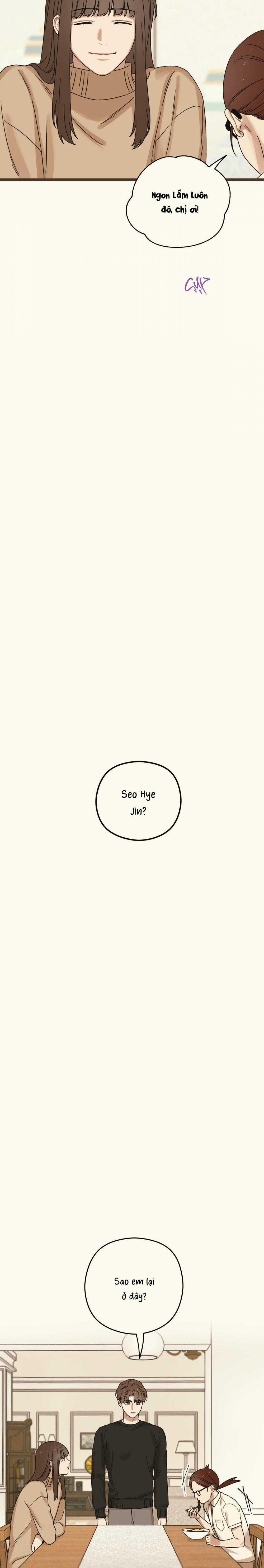 Trùng Phùng 38 trang 21