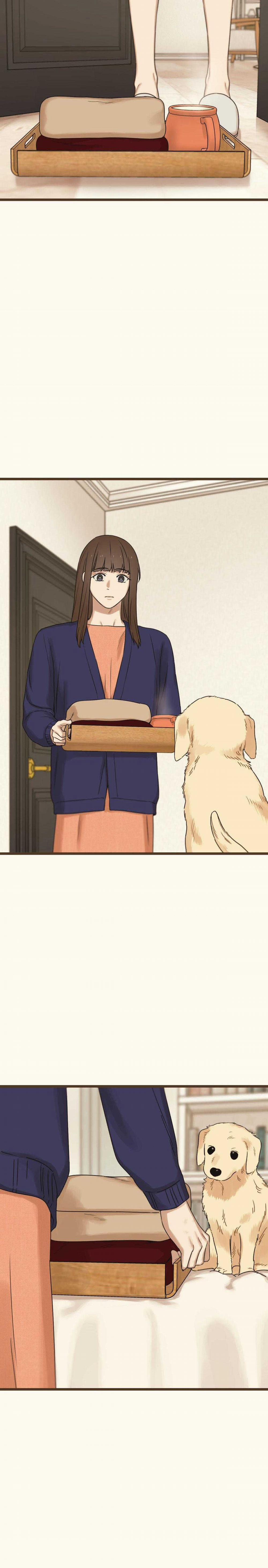 Trùng Phùng 38 trang 4