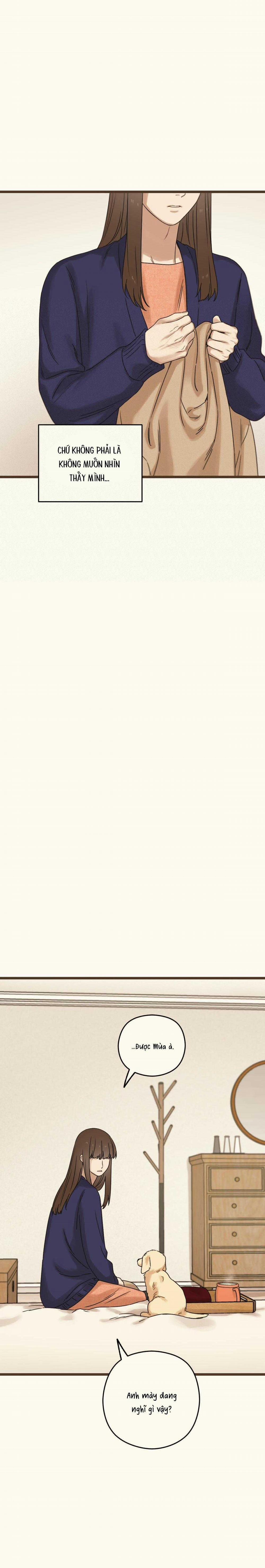 Trùng Phùng 38 trang 6