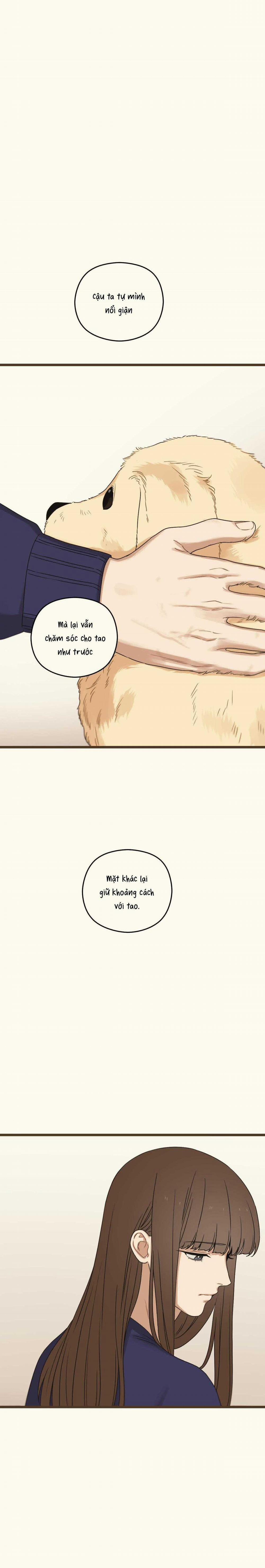 Trùng Phùng 38 trang 7