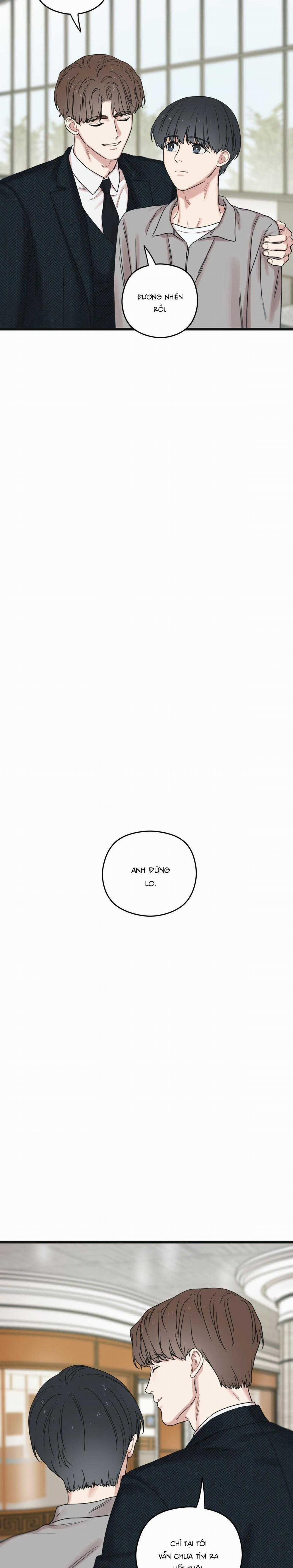 Trùng Phùng 43 trang 13