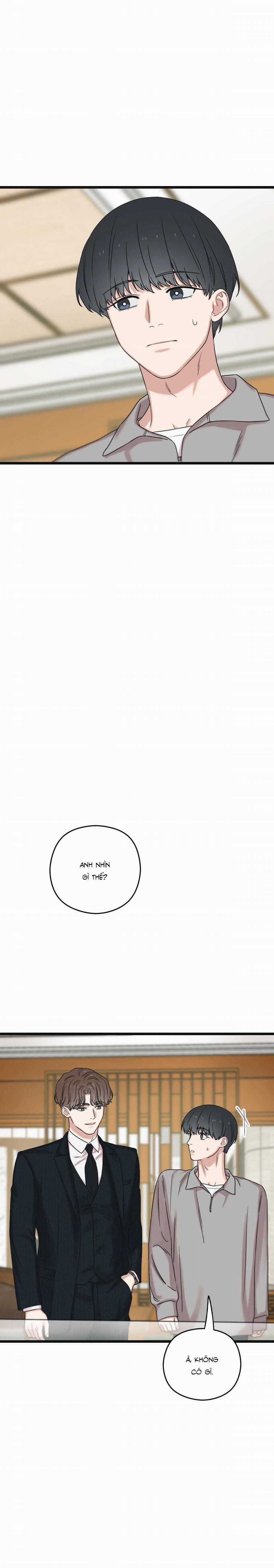 Trùng Phùng 43 trang 19