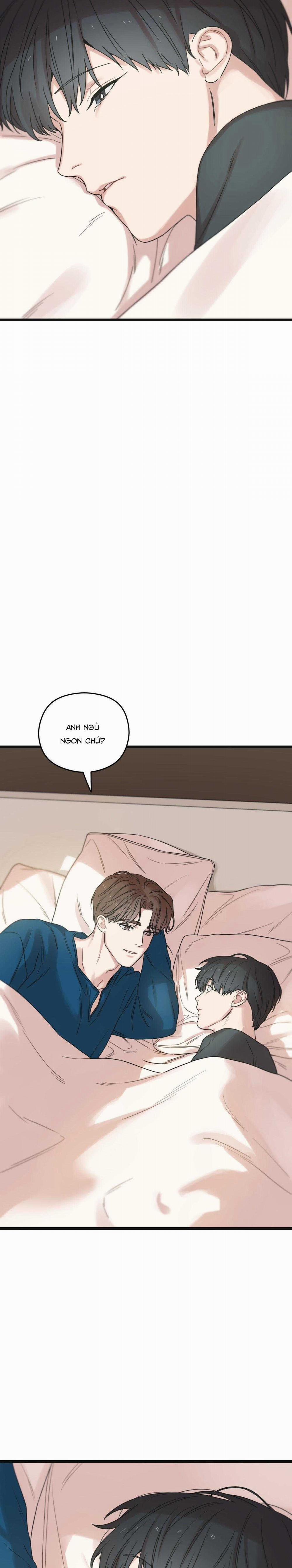 Trùng Phùng 45 trang 17