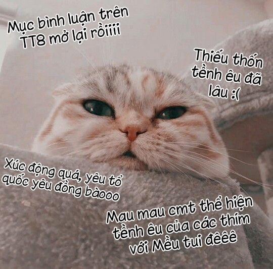 Truy Bắt Ngao Ngao 24 trang 62