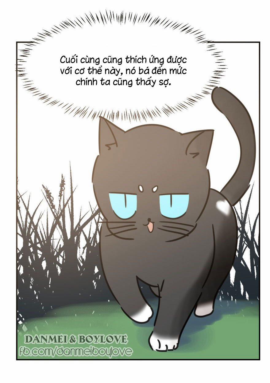 Truy Bắt Ngao Ngao 25 trang 35