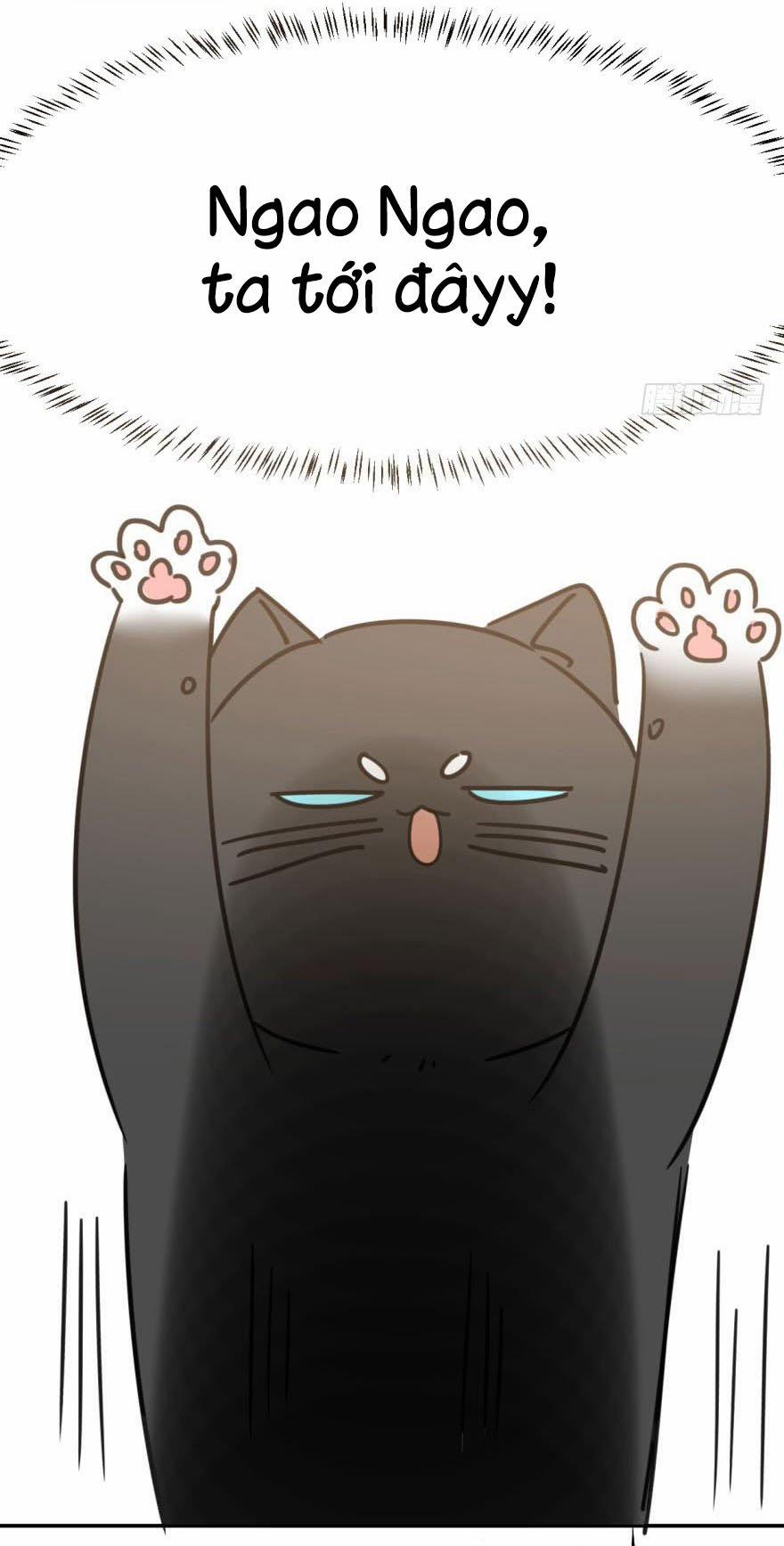 Truy Bắt Ngao Ngao 25 trang 37