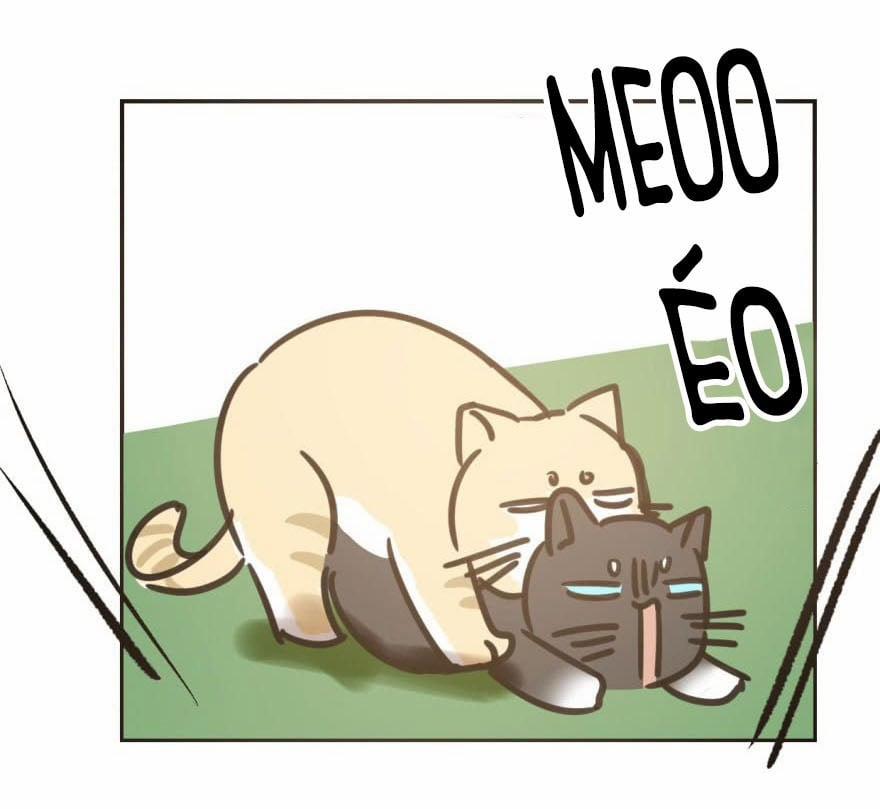 Truy Bắt Ngao Ngao 25 trang 43