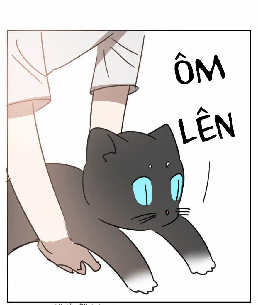 Truy Bắt Ngao Ngao 25 trang 50