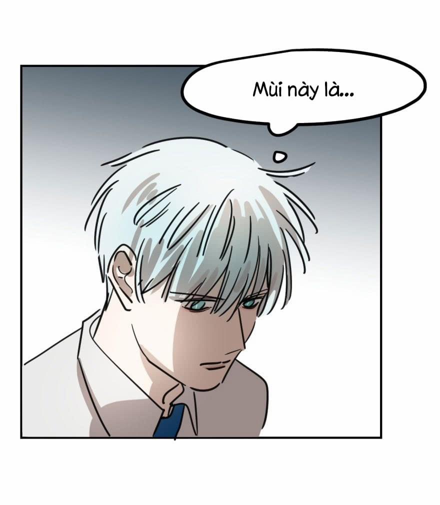 Truy Bắt Ngao Ngao 6 trang 37