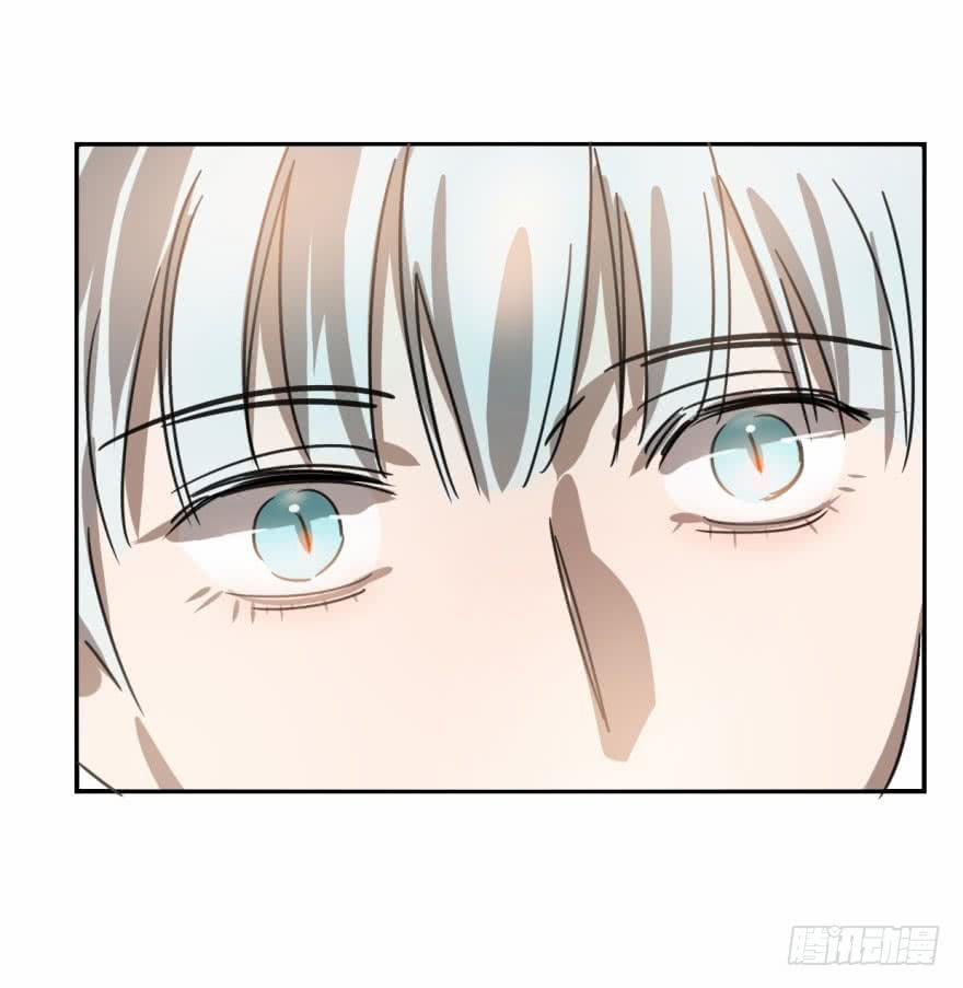 Truy Bắt Ngao Ngao 8 trang 48