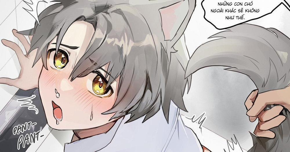 Truyện Boylove Tây Âu 59 trang 0