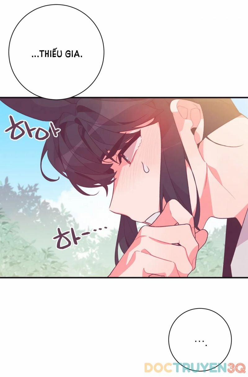 [Truyện Cổ Tích Khiêu Dâm Truyền Thống] Tinh Dịch Của Thiếu Gia Thỏ 3.5 trang 16