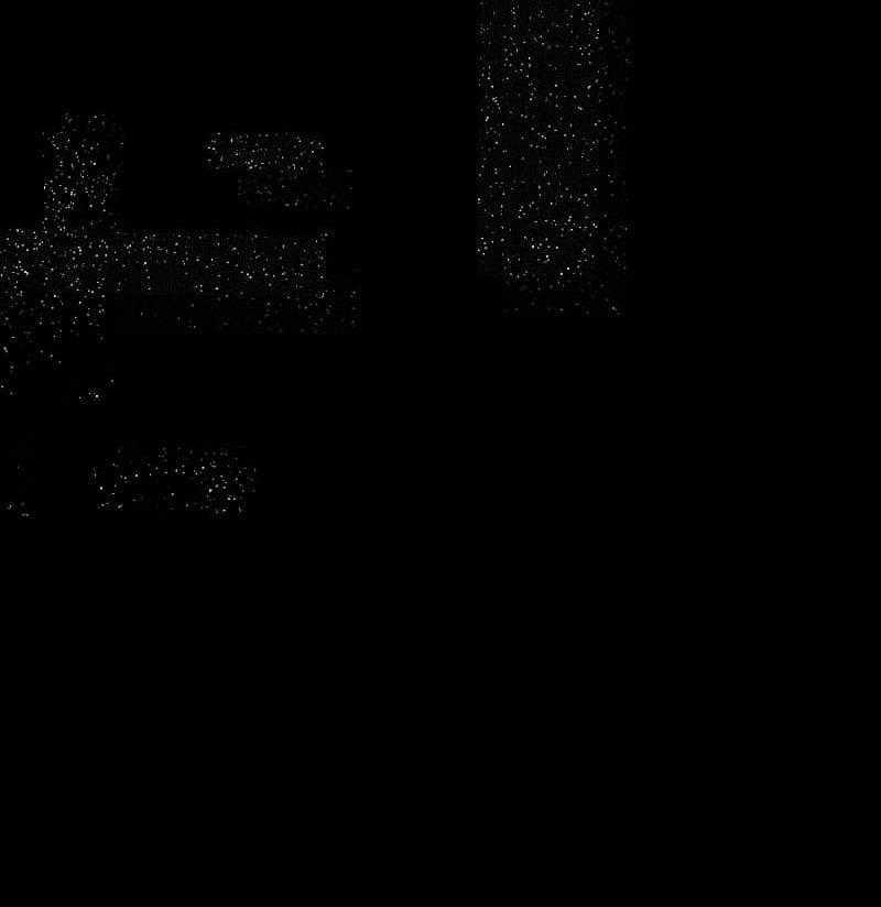 Truyện Ngôn Nhưng Không Ngôn Lắm 100 trang 14